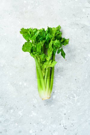 Photo for Celery. Fresh stalk of celery on a stone background. Healthy food. Top view. Free space for text. - Royalty Free Image