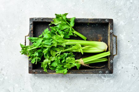 Photo for Bouquet of fresh celery stalk with leaves in a wooden box. Organic healthy food on stone background. Top view. Free space for text. - Royalty Free Image