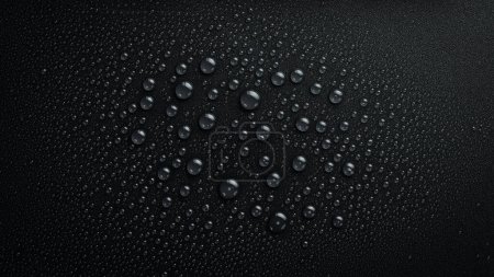 Foto de Agua. Fondo negro con gotas de lluvia. Macro. Vista superior. - Imagen libre de derechos