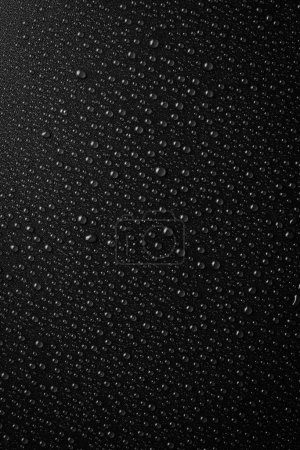 Foto de Agua. Gotas de agua sobre una superficie de textura negra. Macro. Imagen vertical. - Imagen libre de derechos