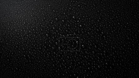 Photo for Water drops on black background. Macro. Black banner. - Royalty Free Image