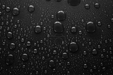 Foto de Gotas de agua sobre fondo negro. Macro. Banner negro. - Imagen libre de derechos