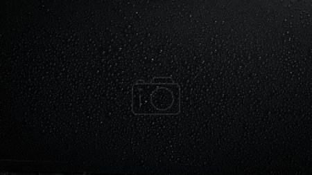 Photo for Water drops on black background. Macro. Black banner. - Royalty Free Image