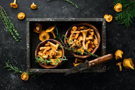 Photo for Chanterelle mushrooms in a wooden box. Top view. Free space for text. - Royalty Free Image