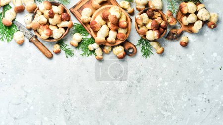 Photo for Background of mushrooms. Porcini Mushrooms on a gray stone table. Organic forest food. Top view. On a stone background. - Royalty Free Image