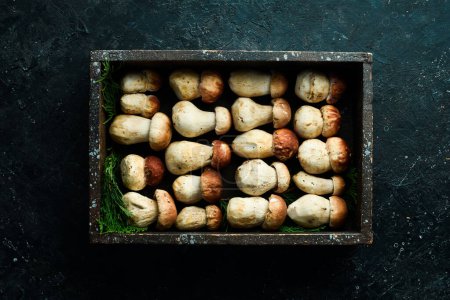 Foto de Champiñones Porcini orgánicos en una caja de madera. Vista superior. Sobre un fondo de piedra. - Imagen libre de derechos