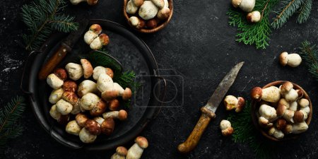 Photo for Wild porcini mushrooms on a black stone table. Top view. Organic food. - Royalty Free Image
