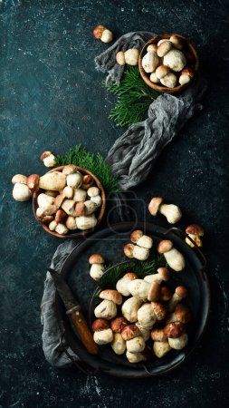 Photo for Wild porcini mushrooms on a black stone table. Top view. Organic food. - Royalty Free Image