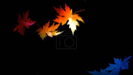 Téléchargez les photos : Feuilles d'arc-en-ciel tombantes Caractéristiques de fond tombant feuilles d'érable sur un fond noir utilisé comme masque pour révéler des couleurs abstraites arc-en-ciel sous. - en image libre de droit
