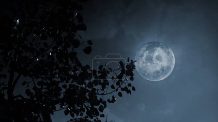 Foto de Luna llena Aspen Tree Silhouette in the Breeze Desaturated Blue ofrece una vista a través de hojas de álamo siluetas en una luna llena en un cielo azul desaturado. - Imagen libre de derechos