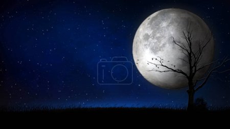 Photo for Full Moon Night Sky Silhouette features a starry night sky with a full moon and a dead tree and grass silhouette with birds flying. - Royalty Free Image