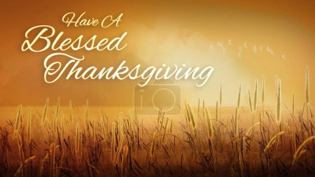 Téléchargez les photos : Champs de récolte bienheureux Thanksgiving dispose d'un champ de blé avec de la brume et de la lumière du soleil avec un texte qui se lit Avoir un bienheureux Thanksgiving. - en image libre de droit