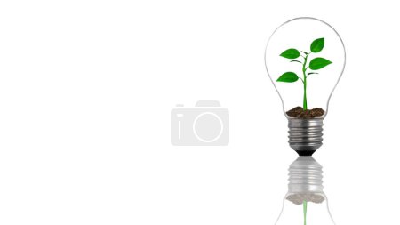 Foto de Planta bombilla cuenta con una bombilla en una superficie reflectante blanca con suciedad en ella y luego una planta que crece dentro de la bombilla. - Imagen libre de derechos