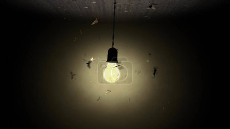 Photo for Like Moths to a Light Bulb features a hanging light bulb with moths flying around it against a black background. - Royalty Free Image