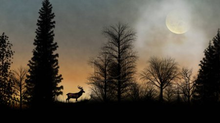 Téléchargez les photos : Cerf dans la forêt avec des oiseaux Silhouette dispose d'une silhouette de forêt avec un cerf manger et une pleine lune et des nuages dans le ciel. - en image libre de droit
