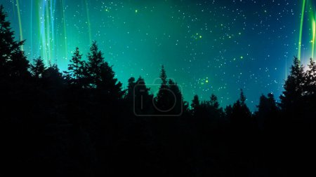 Foto de Aurora Lights Above the Pines presenta una silueta de bosque de pinos en primer plano con luces de estilo Aurora Boreal verdes y azules en el cielo, Not A.I. generados. - Imagen libre de derechos