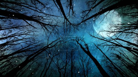 Téléchargez les photos : Le clair de lune et la neige à travers les arbres offre une vue vers le ciel à travers des branches d'arbres silhouettées regardant une pleine lune, des nuages et de la neige tombant vers le spectateur, pas A.I. générée - en image libre de droit