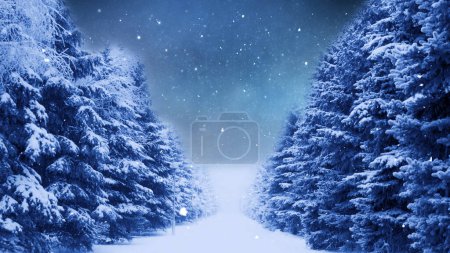 Téléchargez les photos : Neige à travers les arbres Joyeux Noël dispose de deux rangées de pins dans la neige dans des tons bleus avec un ciel étoilé montrant derrière les rangées, pas A.I. générée. - en image libre de droit
