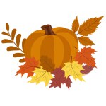 Pumpkin and autumn leaves. Autumn composition. Vector illustration