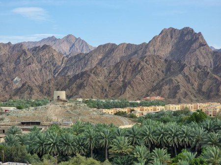 Mountains with date palm trees in Hatta, Dubai, UAE. 