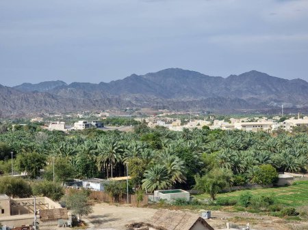 Mountains with date palm trees in Hatta, Dubai, UAE. 