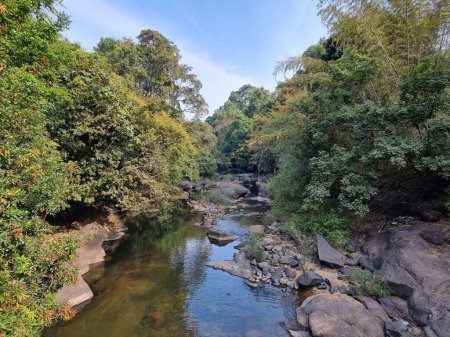 Téléchargez les photos : Belle rivière qui coule à travers la forêt à Kakkadampoyil, Calicut, Inde. - en image libre de droit