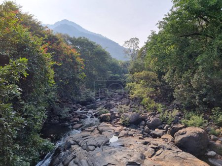 Téléchargez les photos : Belle rivière qui coule à travers la forêt à Kakkadampoyil, Calicut, Inde. - en image libre de droit