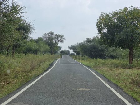 Belle route dans la forêt de masinagudi, Tamil Nadu, Inde. 