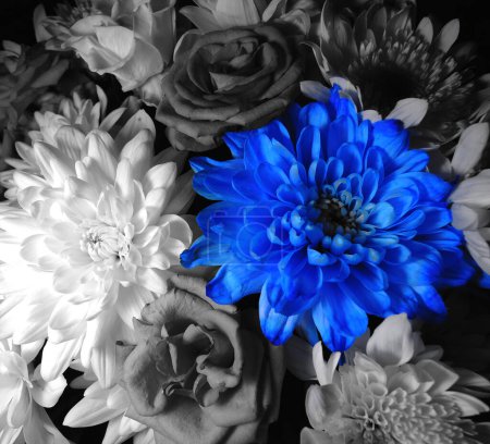 One Bright Blue Flower Between Grayscale Flowers In Bouquet Top View Stock Photo