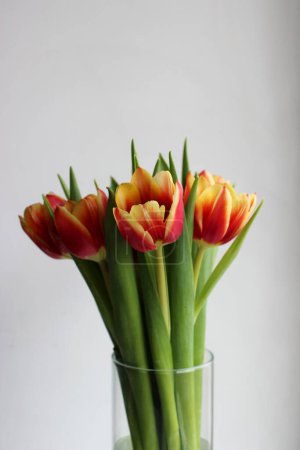 Téléchargez les photos : Tulipes jaunes rouges dans une grappe dans un vase rond Vertical Stock Photo - en image libre de droit