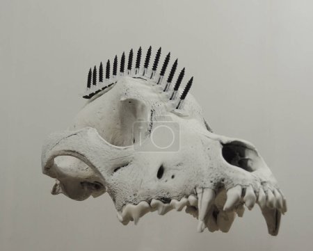 Téléchargez les photos : Crâne de loup Steampunk avec vis noires dans la coiffure mohawk flottant dans l'air sur fond blanc - en image libre de droit