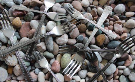 Téléchargez les photos : Fourchettes à dessert argentées identiques disposées en rangée sur des pierres de mer colorées - en image libre de droit