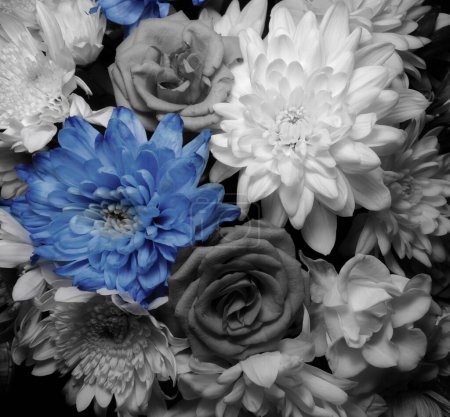 Blumenstrauß in Dunkelheit in Schwarz und Weiß mit sanften Blautönen 