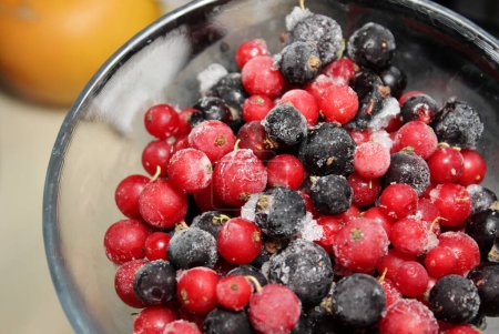 Glass Bowl Filled With Frosted Red And Black Currant Berries In Defrosting Process At Normal Temperature