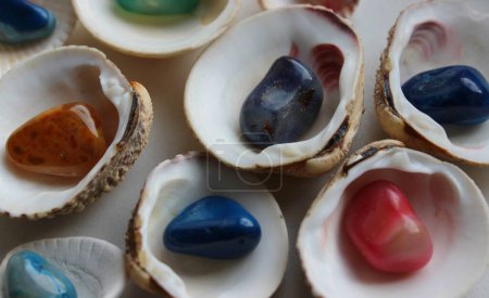 Foto de Parte interior de las conchas marinas con minerales coloridos dentro de fondo texturizado - Imagen libre de derechos