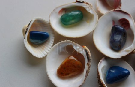 Foto de Conchas de mar dispuestas con el lado interior hacia arriba con piedras de cuarzo de colores sobre una superficie blanca - Imagen libre de derechos