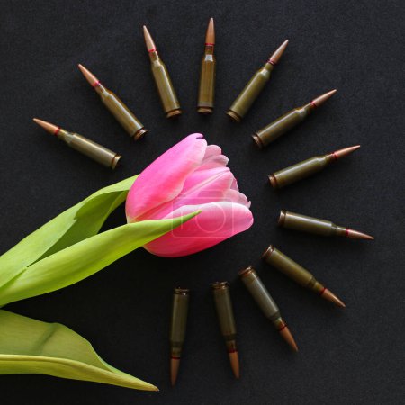 Bullets Around Pink Flower On Black Surface Square Stock Photo 