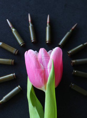 Conceptual photo on the theme of mourning and honoring the memory of war victims. Tulip and bullets around it on black background