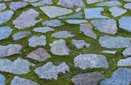 Detailed pattern of old stones in mossy footpath angle view. Ancient architecture background with old stones