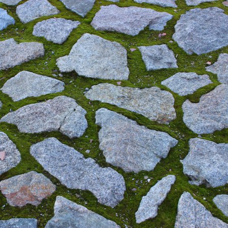 Piedras de granito prensadas en musgo en un antiguo fondo de textura del sótano. Plaza piedra fondo stock foto