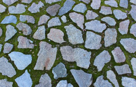 Granitfelsen zwischen grünem Moos auf dem Boden antiker Ruinen 