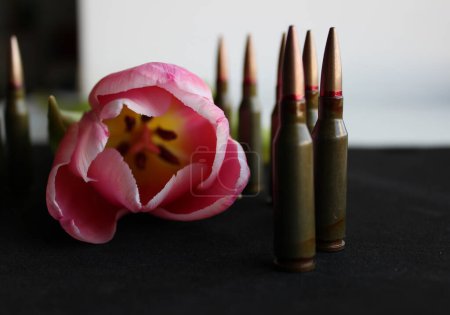 Imagen del concepto de Guardia de Honor. Bullets se para alrededor de un solo tulipán rosa en la vista de ángulo de tallo verde
