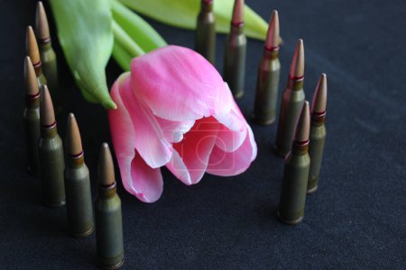 Téléchargez les photos : Les balles se tiennent dans une ligne autour de tulipe simple floraison sur fond noir - en image libre de droit
