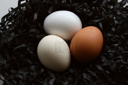 Three Multi Colored Eggs In A Nest Made With Black Shavings On White Closeup View