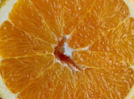 Textur des saftigen nassen Fruchtfleisches eines geschnittenen orangen Makroaufnahmen quadratischen Archivfotos  