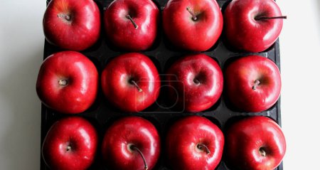 Téléchargez les photos : Boîte avec compartiments pour ranger les pommes mûres sur une surface blanche propre vue de dessus - en image libre de droit