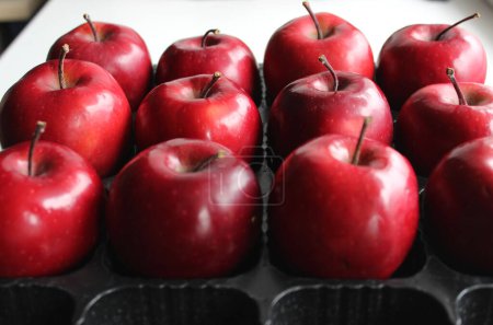 Téléchargez les photos : Rangées de pommes rouges mûres dans une boîte en plastique pour le transport des fruits - en image libre de droit