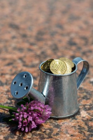 Eine Miniatur-Gießkanne und Münzen von 1 Tenge 
