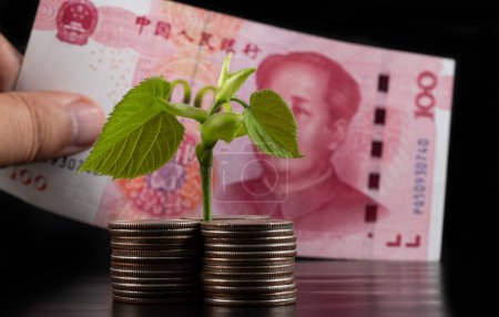 Photo for Young sprout with green leaves and 100 Chinese yuan banknote - Royalty Free Image