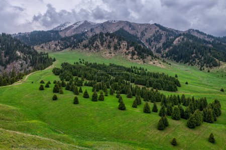 Kok-Zhailau ist ein Gebiet auf dem Territorium des Staatlichen Naturparks Ile-Alatau, das von Osten nach Westen zwischen der Kleinen und Großen Almaty-Schlucht liegt, 10 km von der Stadt Almaty in Kasachstan entfernt..